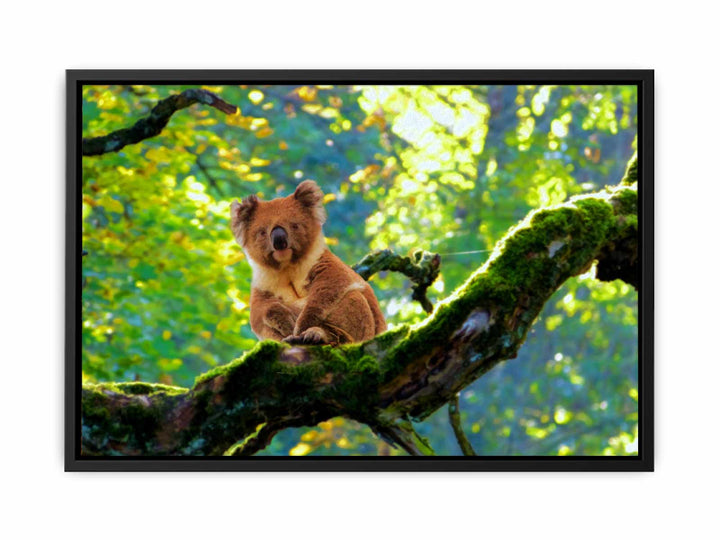 Koala On Tree  Painting 