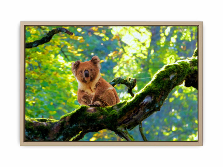 Koala On Tree  Painting 