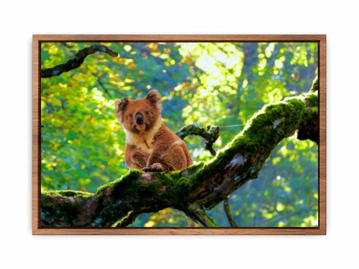 Koala On Tree  Painting 