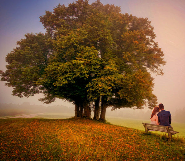Couple  Under Tree Oil  Painting