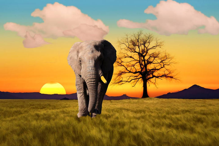 Elephant Sunset Painting