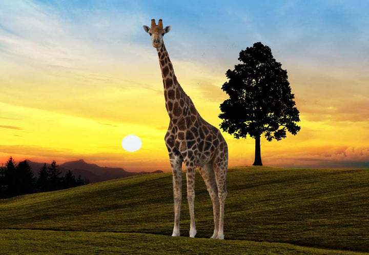 Giraffe Painting
