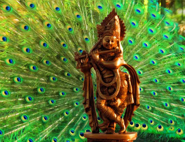 Pecock Feather Krishna Painting