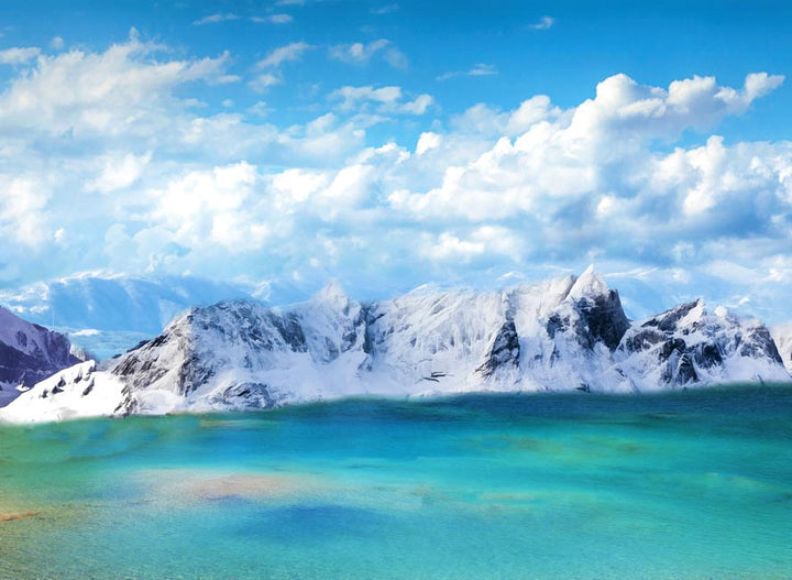 Pangong Lake Painiting 