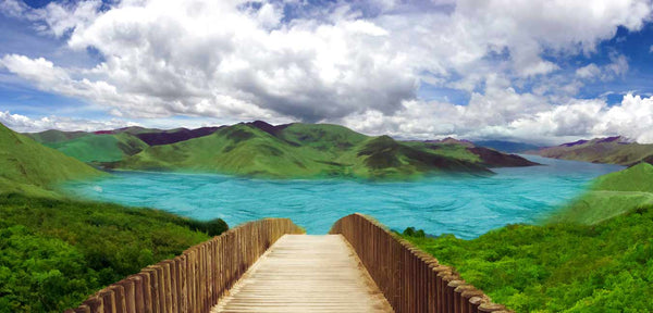 Green Path To Sea Painting