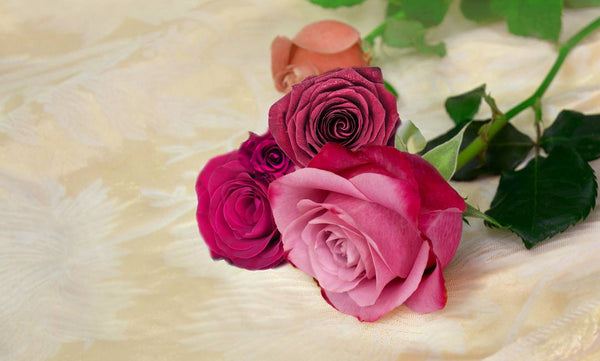 Roses With Leaf Painting