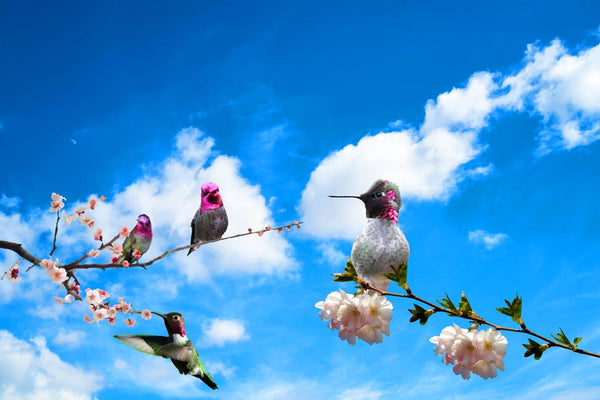 Birds On Branches Painting