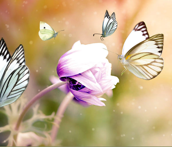 Butterfly Painting