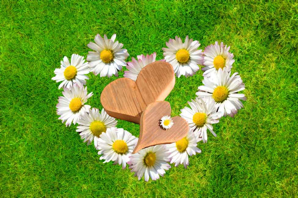 Flower Love Painting