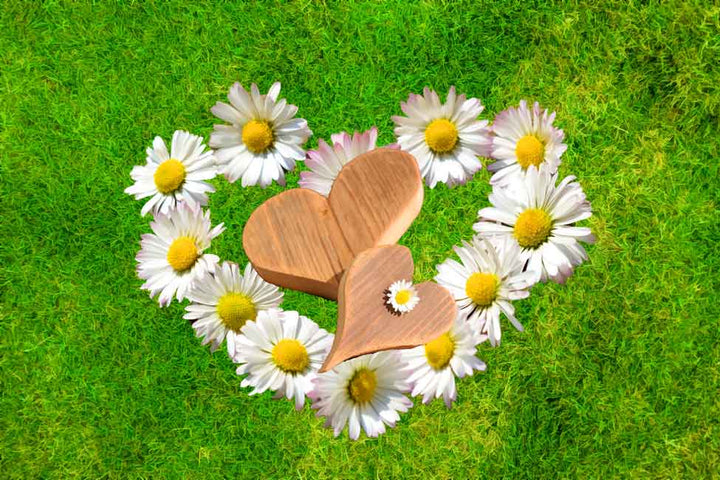 Flower Love Painting