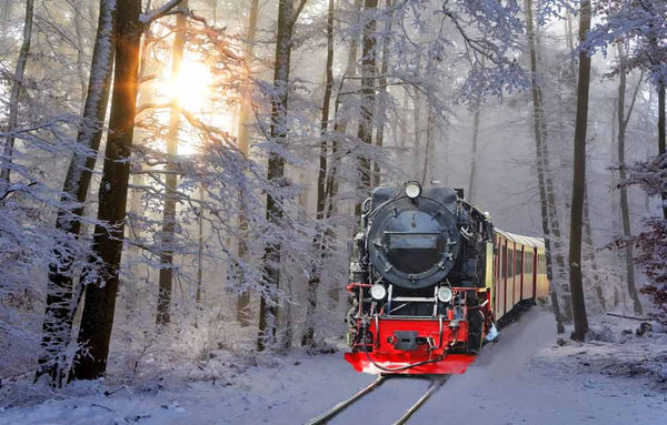 Train Winter Painting
