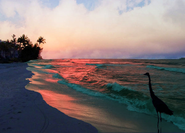Herons Florida Painting