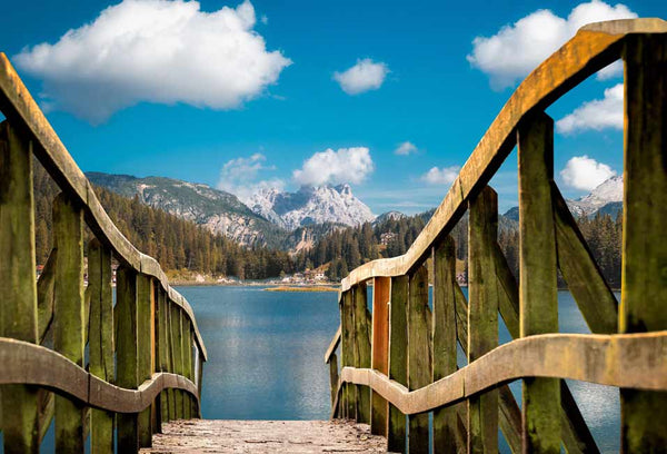 Jetty to lake  Painting