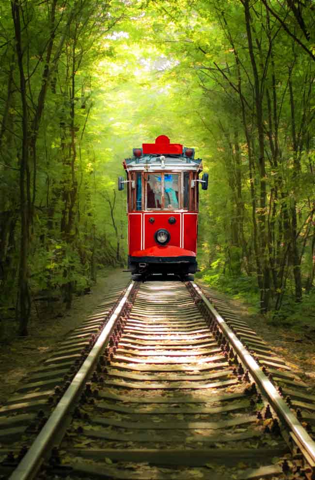 Tree Tunnel Tram Painting