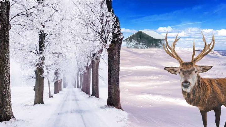 Deer Winter Painting