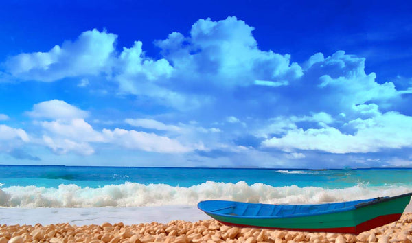 Boat and  Sea Painting