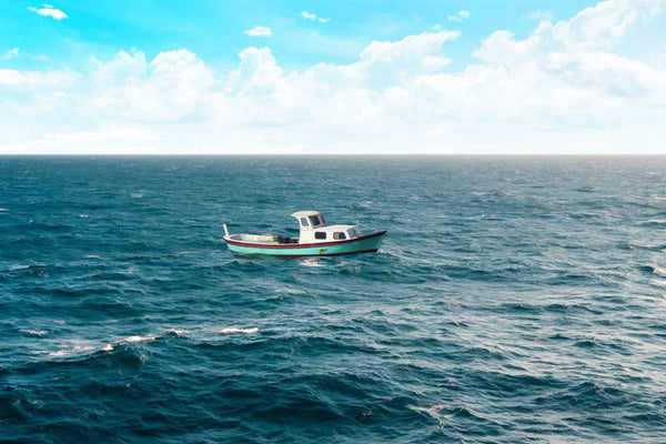 Boat Painting