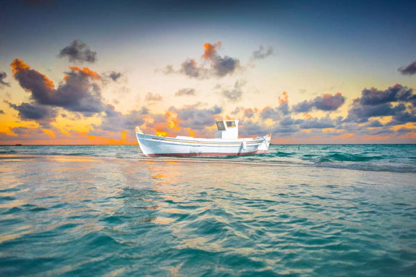 White Boat Painting