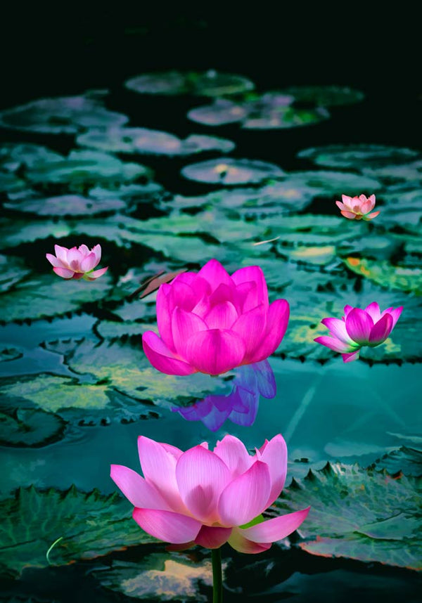 Lily Flower Leaf Painting