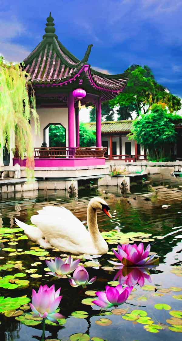 Swan Lily Painting