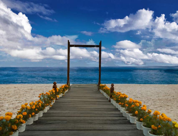 Path to sea Painting