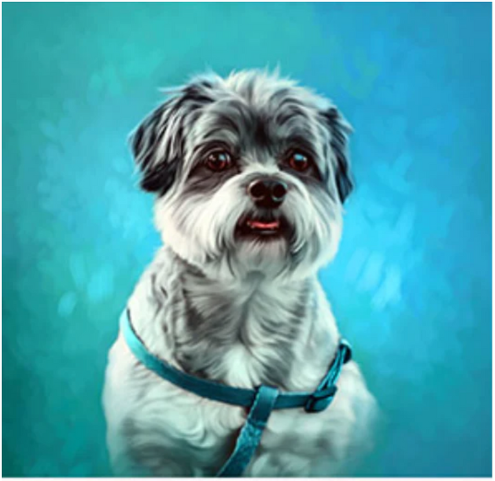 Pet Painting 